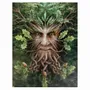 Decorative objects - 19x25cm Oak King Canvas Plaque by Anne Stokes - SOMETHING DIFFERENT WHOLESALE EUROPE BV