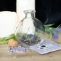 Decorative objects - 10cm Glass Spell Jar with Recipe Booklet - SOMETHING DIFFERENT WHOLESALE EUROPE BV