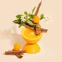 Parfums d'intérieur - Spray d'ambiance à la cannelle et à l'orange 100ml - TANDEM FRAGRANCES