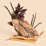 Home fragrances - Cedar stick diffuser - 100ml - TANDEM FRAGRANCES