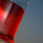 Verres - Melt Glass - TRAGA