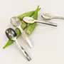Kitchen utensils - Set of 6 Baguette teaspoons in African black horn (set of 6) - L INDOCHINEUR X RIVÊT