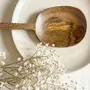 Cutlery set - Cacahuète rice spoon - L INDOCHINEUR X RIVÊT