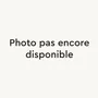 Kitchen utensils - Watermelon pick, 2 prongs (set of 6) - L INDOCHINEUR X RIVÊT