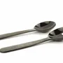 Cutlery set - Small cutlery with raw horn handle - L INDOCHINEUR X RIVÊT
