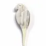 Brooches - Macaw brooch in lacquered blond horn - L INDOCHINEUR X RIVÊT