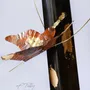 Decorative objects - Old bronze BUTTERFLY VEILLEUR candle holder - FRÉDÉRIQUE TILLY