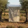 Rugs - TARIFA - 100% cotton rug Chanvre – 60×100 - MASAME