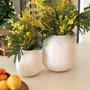 Vases - NAPOLI - Vase Faïence Blanc – M - Ø19 H22 cm - MASAME