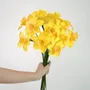 Floral decoration - Daffodil - MAYPAPERFLOWER - VIETNAM