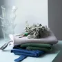 Dish towels - Tea Towel Marcel Indigo 50 X 70 - LA CERISE SUR LE GATEAU