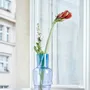 Vases - GARDEN RAINBOW VASES - FRANTISEK JUNGVIRT STUDIO
