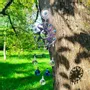 Gifts - Solar star Suncatcher - MANDALASHOP