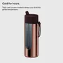 Tasses et mugs - Chrome Reusable Bottle with Flip Straw Lid 20oz/595ml - FRANK GREEN LIMITED