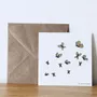 Papeterie bureau - Carte & enveloppe - Papillons - LES PETITES HIRONDELLES