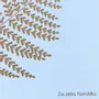 Papeterie bureau - Carte & enveloppe - L'hirondelle - LES PETITES HIRONDELLES