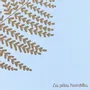 Papeterie bureau - Carte & enveloppe - Nuage étoilé - LES PETITES HIRONDELLES