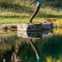 Outdoor pools - Nell - DAWN CONN SCULPTURE