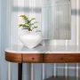 Vases - FLEUR VASES - FRANTISEK JUNGVIRT STUDIO