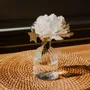 Décorations florales - pic-botanique-paillete-etoile - LES PETITES HIRONDELLES
