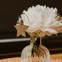 Décorations florales - pic-botanique-paillete-etoile - LES PETITES HIRONDELLES