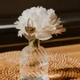 Décorations florales - pic-botanique-paillete-fleur-tige - LES PETITES HIRONDELLES