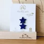 Broches - pin-s-feutrine-pailletee-etoile-a-partager - LES PETITES HIRONDELLES