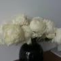 Vases - BLACK & WHITE - FRANTISEK JUNGVIRT STUDIO