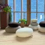 Coussins - Coussin - LUDIVINE GERARDIN