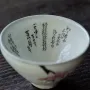 Assiettes au quotidien - Auspicious Waka Sakura - MUSUBI KILN