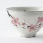 Assiettes au quotidien - Auspicious Waka Sakura - MUSUBI KILN