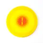 Gifts - Protects the house soft touch Magnet - MANDALASHOP