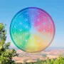 Decorative objects - Repositionable window sticker Flower of Life - MANDALASHOP