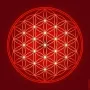 Objets de décoration - Toiles Fleur de Vie - rouge (7 couleurs au choix) - MANDALASHOP