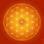 Objets de décoration - Toiles Fleur de Vie - orange (7 couleurs au choix) - MANDALASHOP