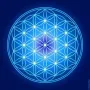 Objets de décoration - Toiles Fleur de Vie - bleu (7 couleurs au choix) - MANDALASHOP