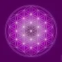 Objets de décoration - Toiles Fleur de Vie - violet (7 couleurs au choix) - MANDALASHOP