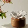 Gifts - Orchid - Fragrance diffuser made of wood and ecological porcelain - ANOQ