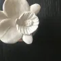 Gifts - Orchid - Fragrance diffuser made of wood and ecological porcelain - ANOQ
