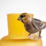 Vases - FEATHER ANIMALS VASES - FRANTISEK JUNGVIRT STUDIO