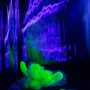 Art glass - FAISHON GLASS COLLECTIBLE OBJECTS - FRANTISEK JUNGVIRT STUDIO
