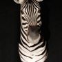 Decorative objects - Zebra bust - AFRICAN GALLERY