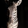 Decorative objects - Zebra bust - AFRICAN GALLERY