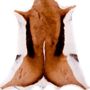 Design carpets - Springbok - HANLIN LTD