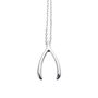 Jewelry - Wishbone Silver Necklace - ESTELLA BARTLETT