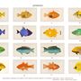 Paintings - Fish print - BEAUME COLLECTION