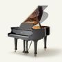 Pianos - Grand piano - FAZIOLI