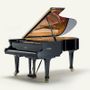 Pianos - Grand piano - FAZIOLI