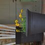 Pots de fleurs - CUVIER XXL EN TERRE NOIRE - POTERIE DE LA MADELEINE