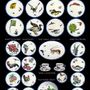 Formal plates - Dinner plate - service Rousseau - AU BAIN MARIE